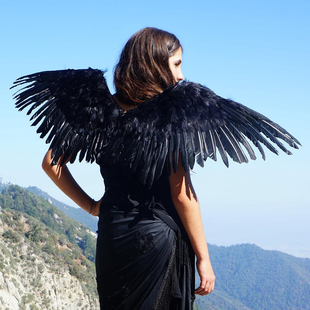 Adult Mockingbird Large Wings Costume - Black Angel Fairy Cosplay Halloween Crow Feather Wing - Feathers