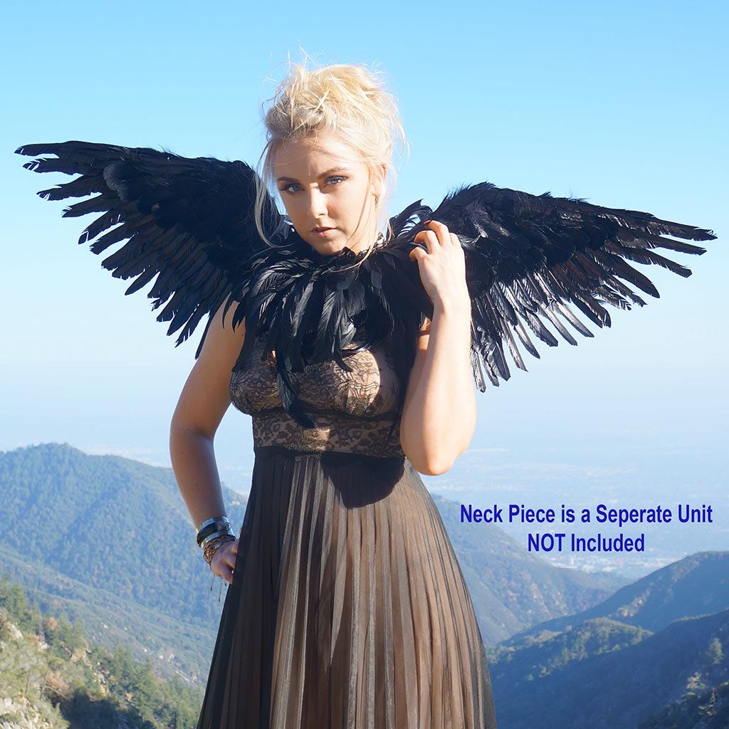 Adult Mockingbird Large Wings Costume - Black Angel Fairy Cosplay Halloween Crow Feather Wing - Feathers