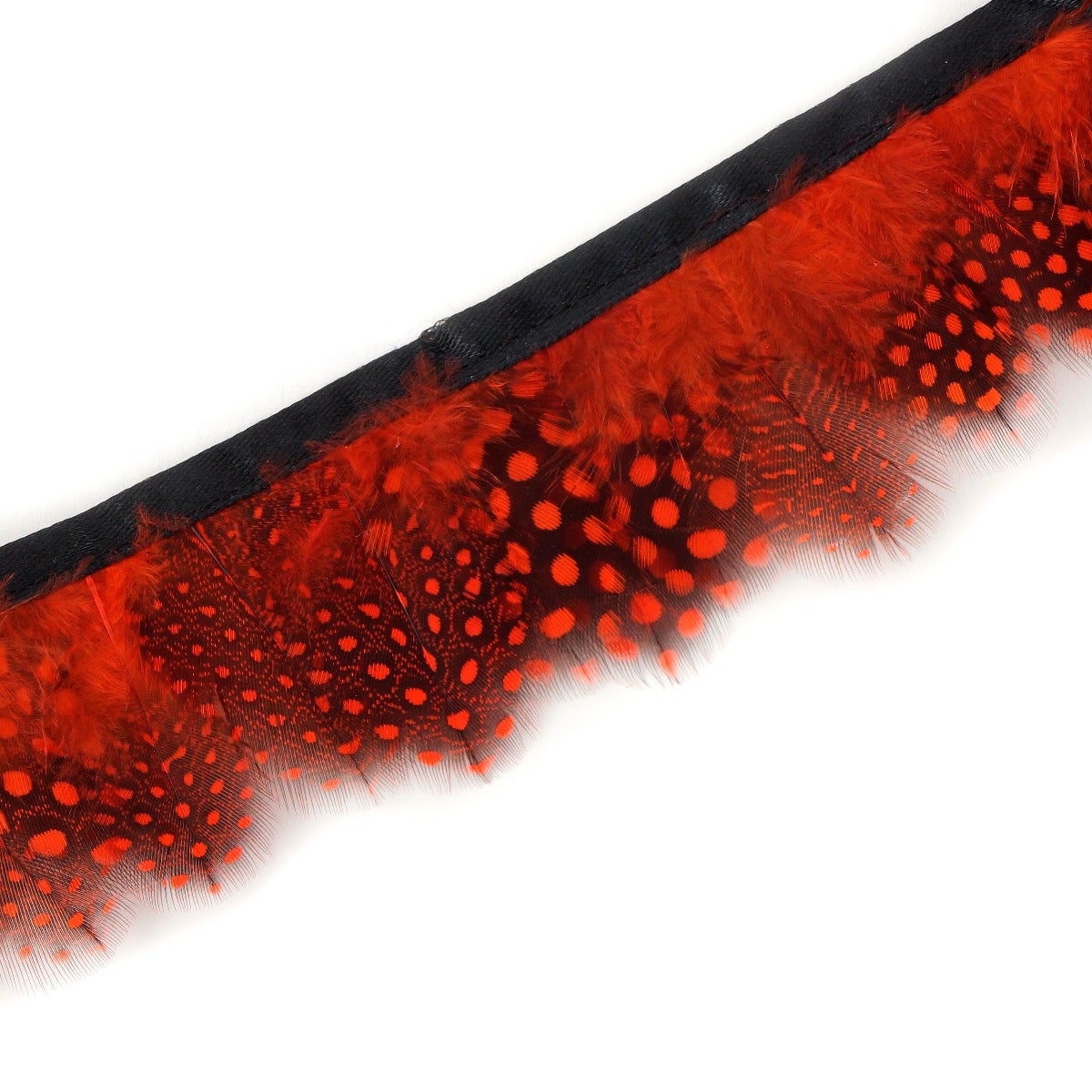 Almond Pheasant Feather Fringe - Tango Red - Feathers