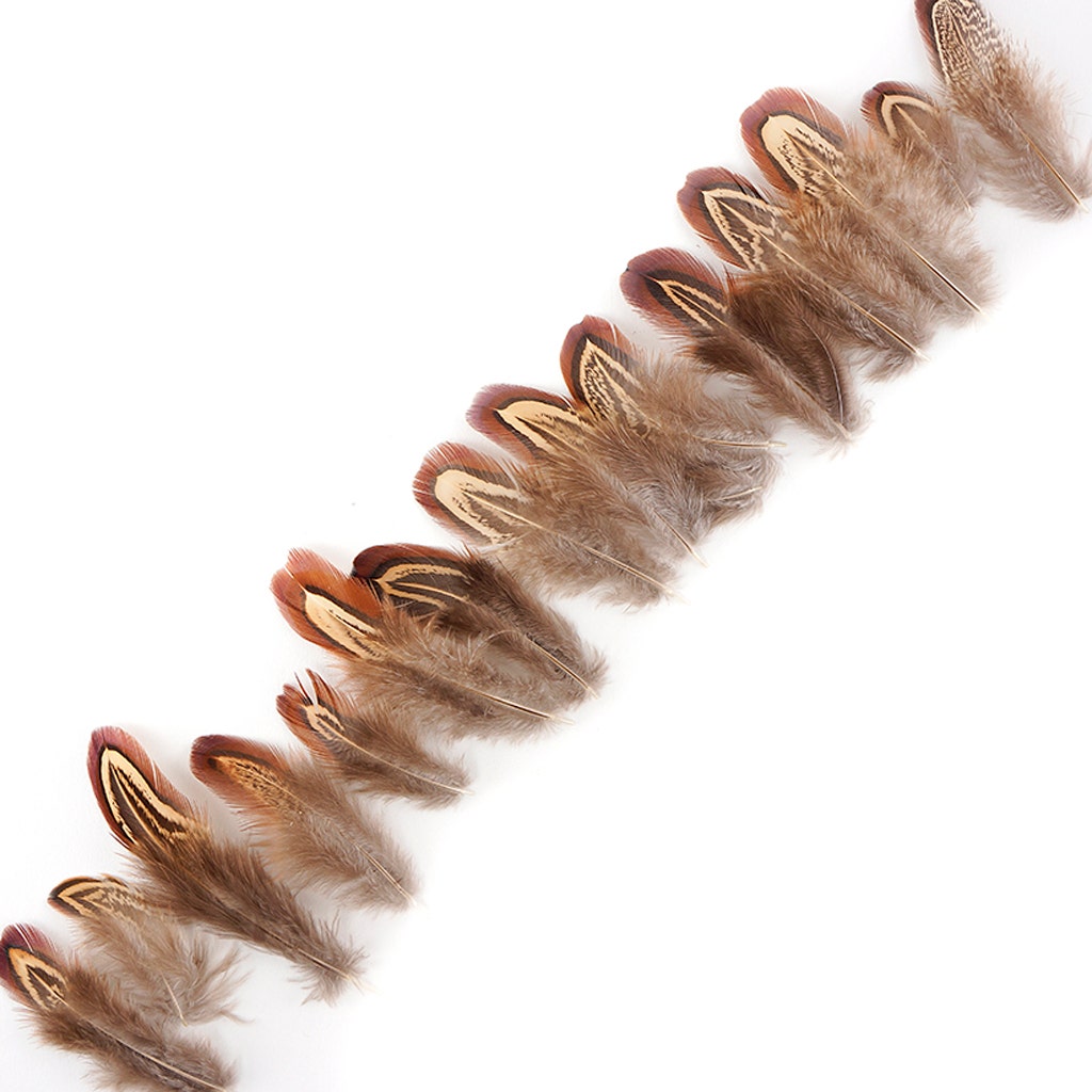 Almond Pheasant Plumage - Natural - Feathers