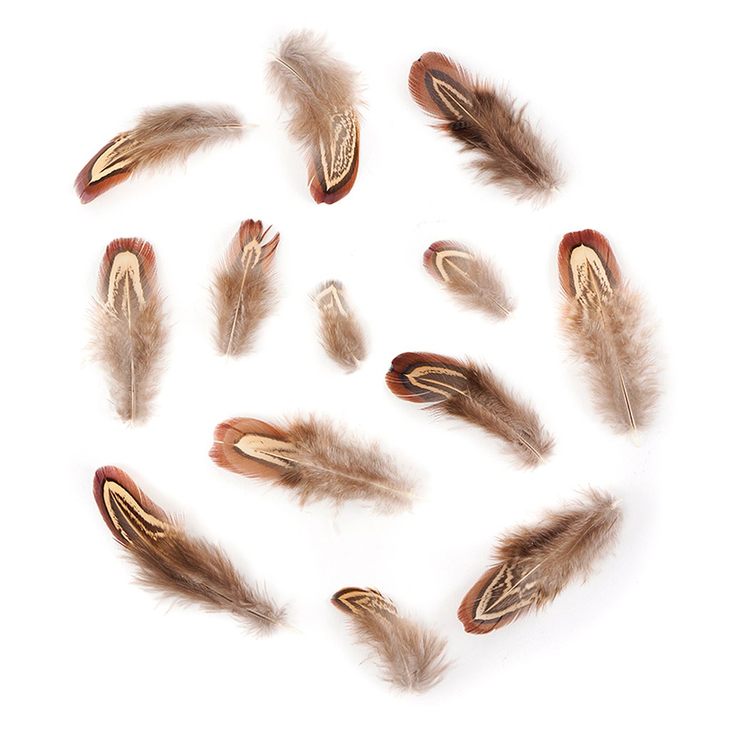 Almond Pheasant Plumage - Natural - Feathers