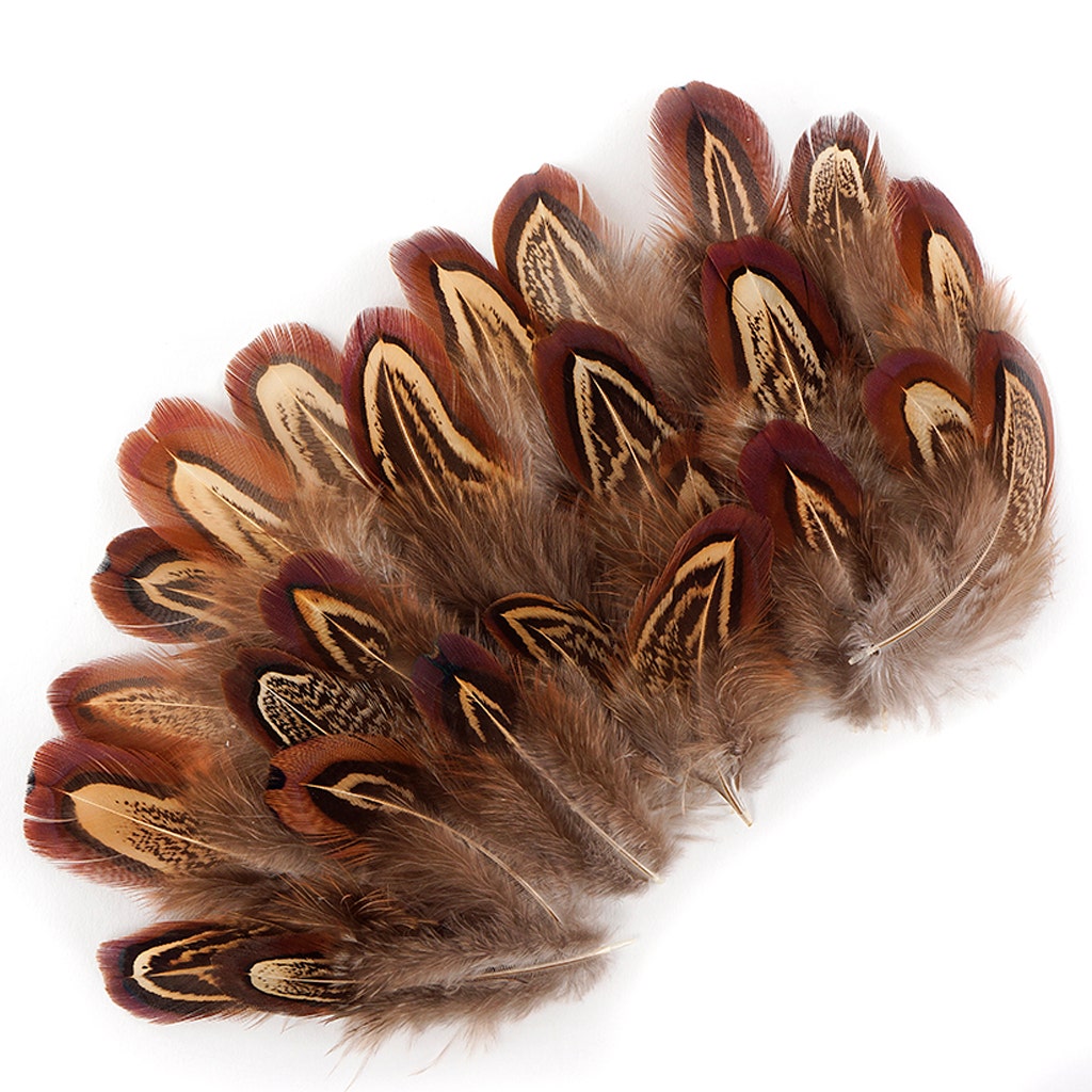 Almond Pheasant Plumage - Natural - Feathers