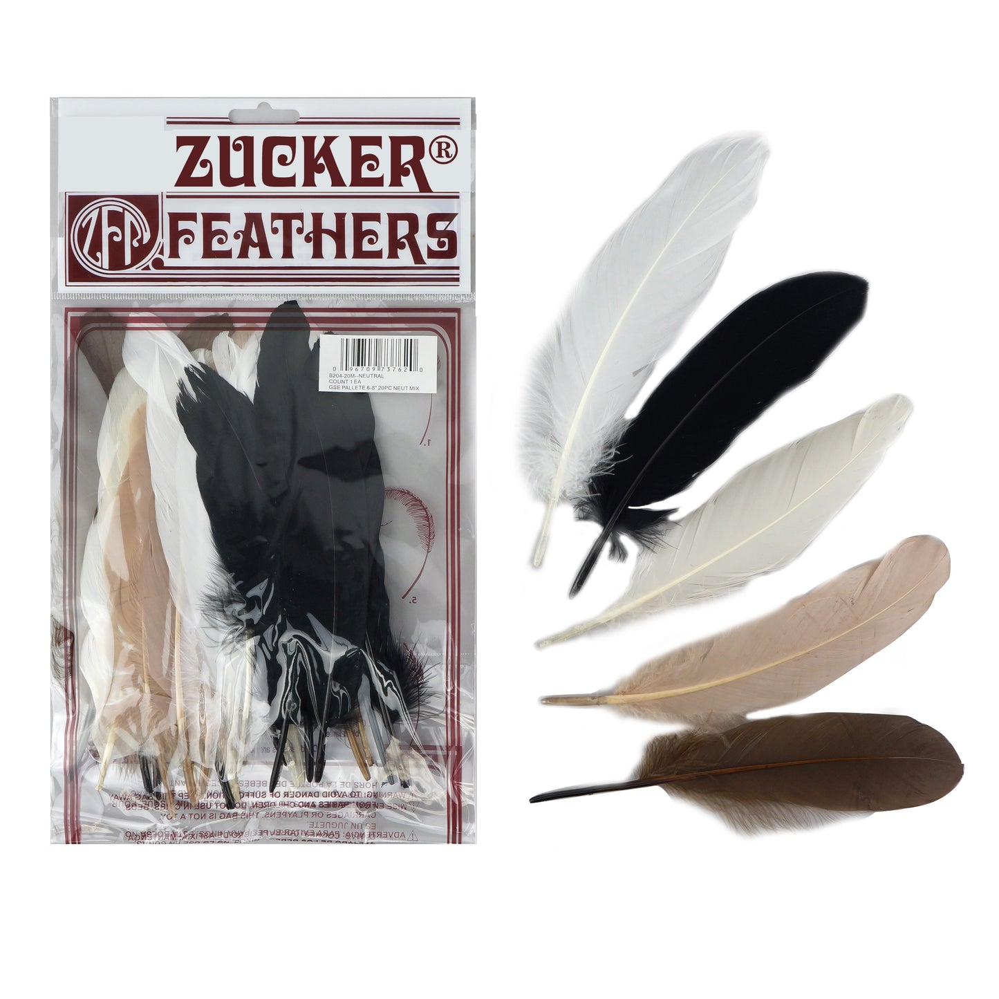 Duck Quill Feathers 24/Pkg Black & White Mix