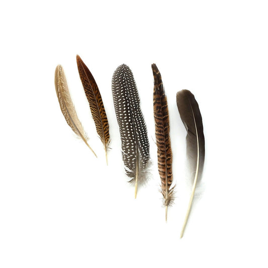 Assorted Guinea and Goose Rounds Quill & Pheasant Tails Natural - Feathers