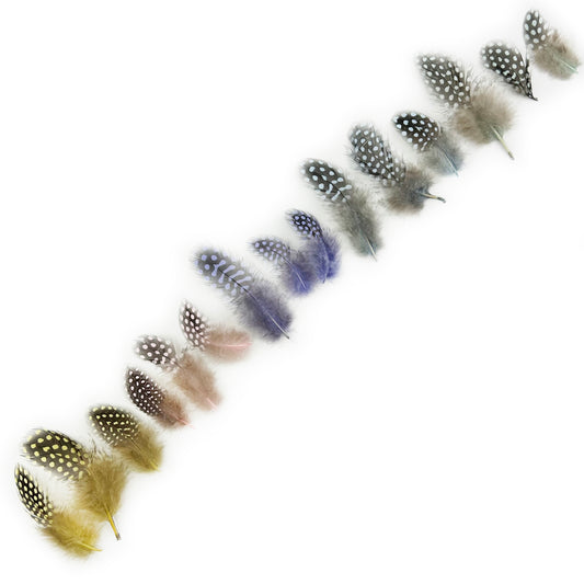 Loose Guinea Plumage Mix Dyed - Spring Mix