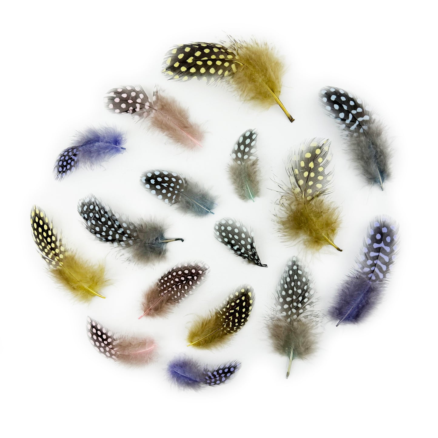 Loose Guinea Plumage Mix Dyed - Spring Mix