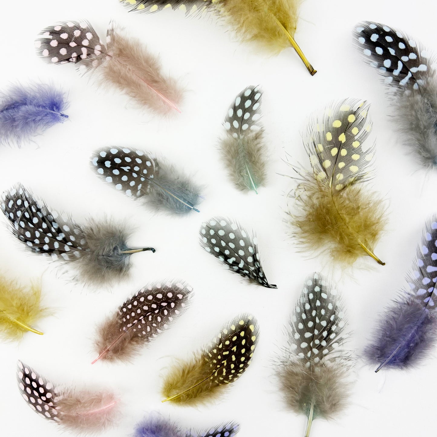 Loose Guinea Plumage Mix Dyed - Spring Mix