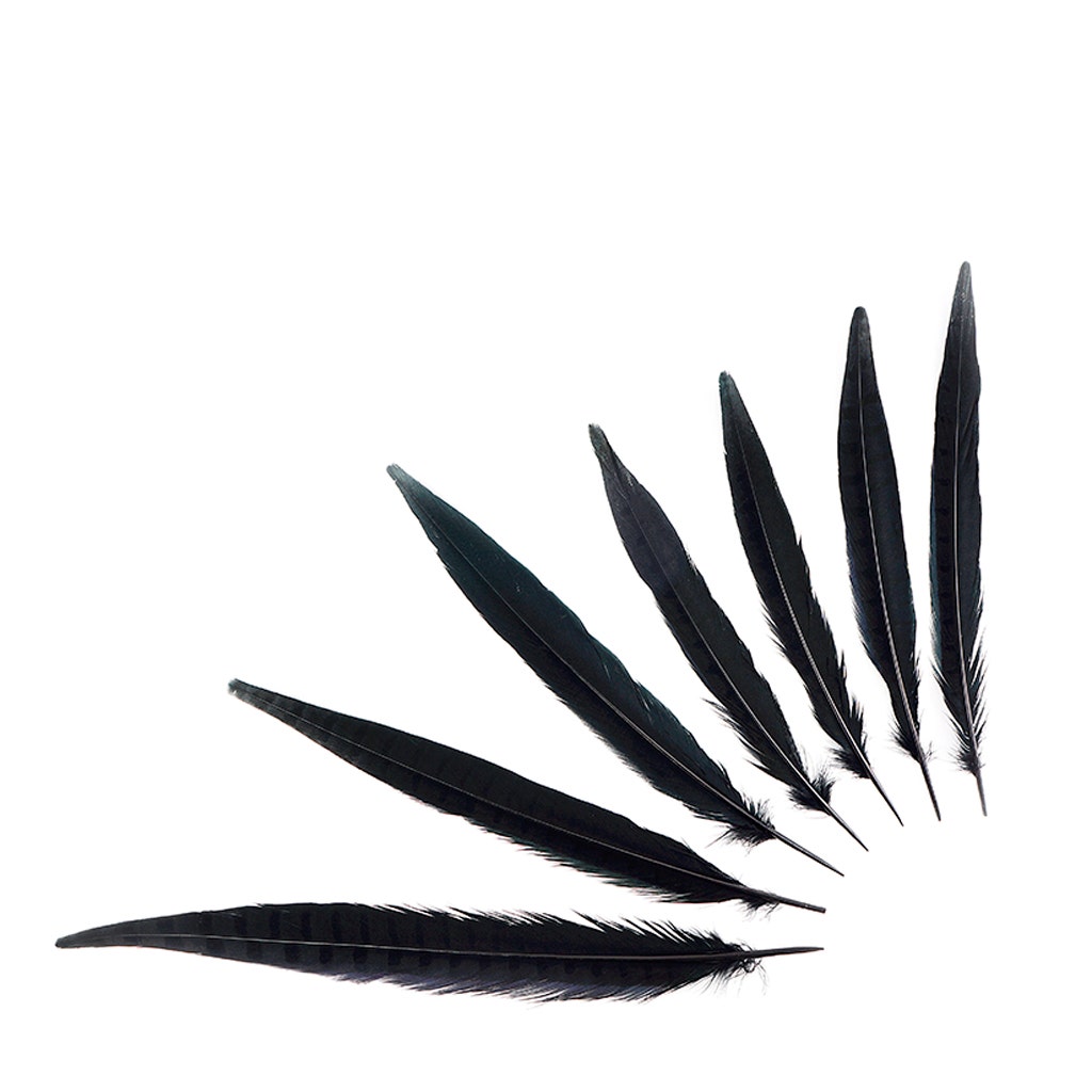 Assorted Pheasant Tails Dyed - Black - Feathers