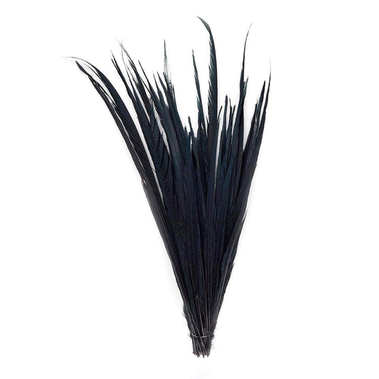 Assorted Pheasant Tails Dyed - Black - Feathers