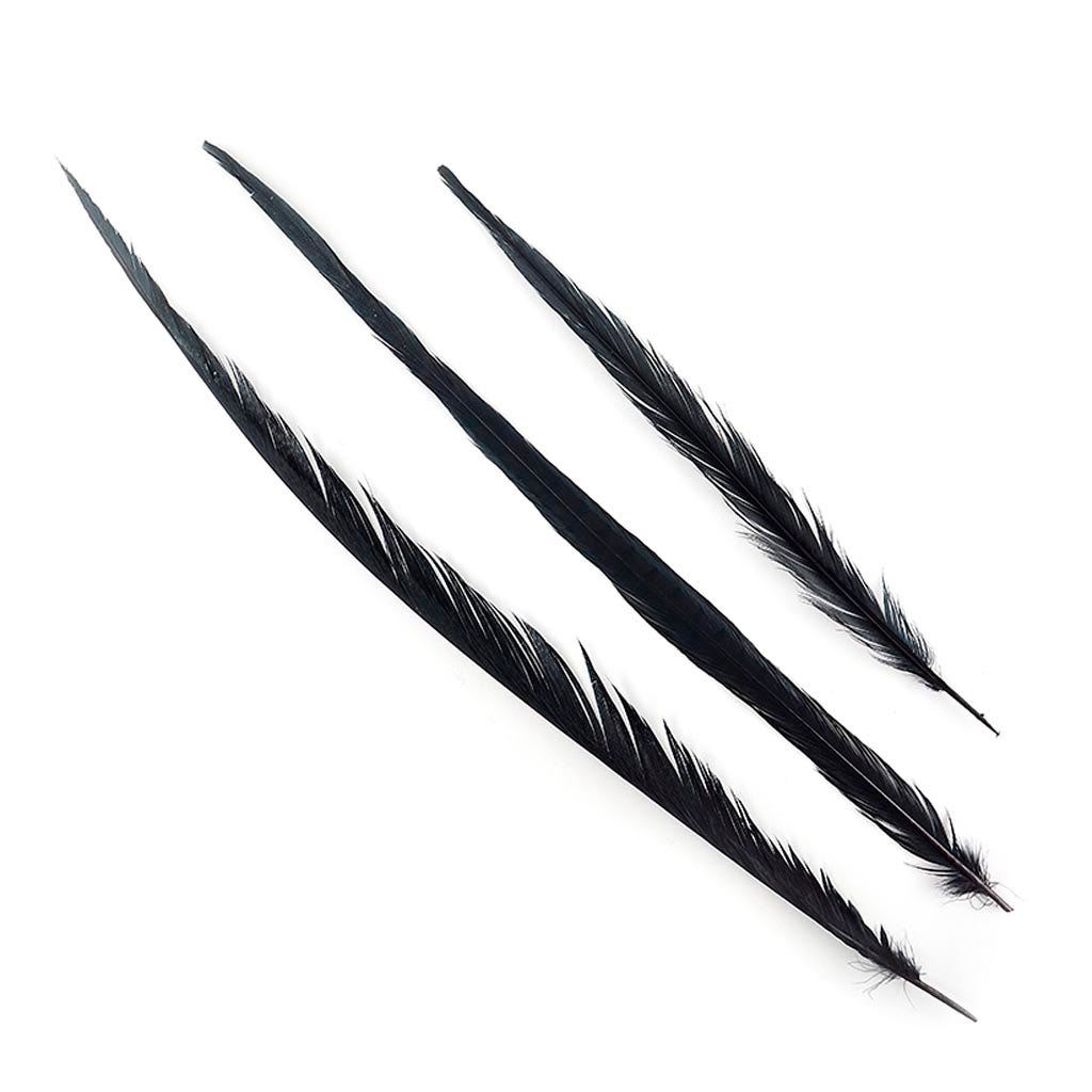 Assorted Pheasant Tails Dyed - Black - Feathers