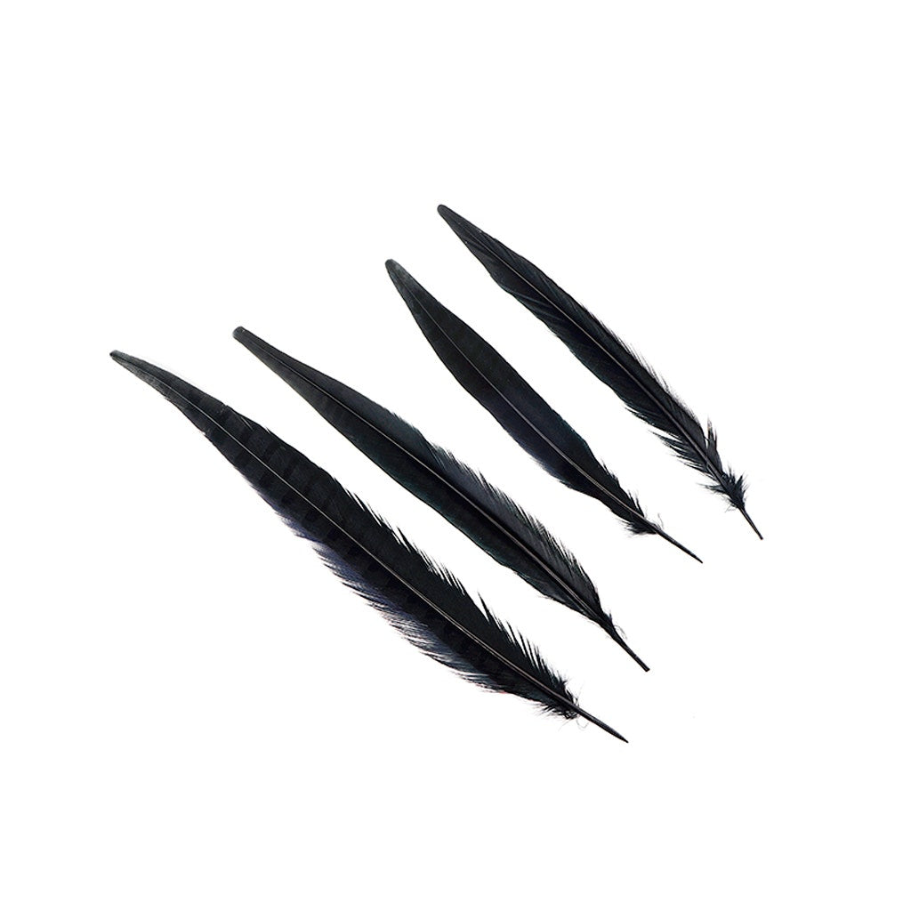 Assorted Pheasant Tails Dyed - Black - Feathers