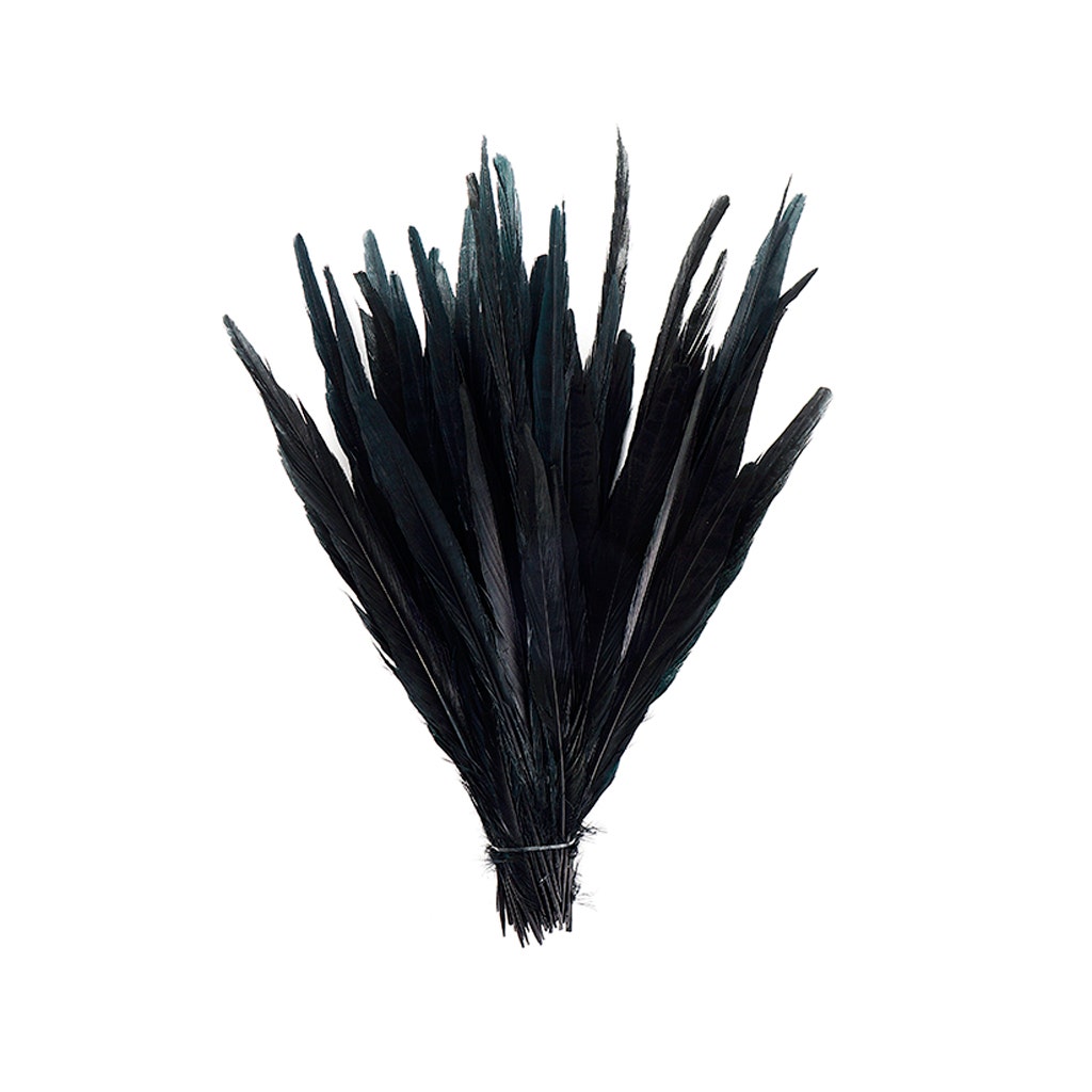 Assorted Pheasant Tails Dyed - Black - Feathers