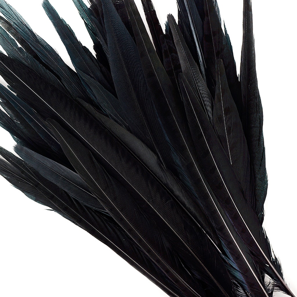 Assorted Pheasant Tails Dyed - Black - Feathers