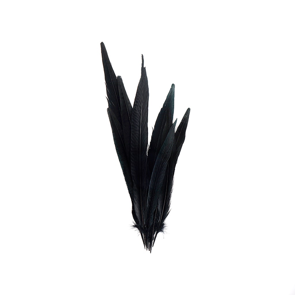 Assorted Pheasant Tails Dyed - Black - Feathers