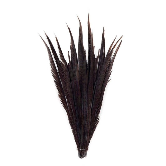 Assorted Pheasant Tails Dyed - Brown - Feathers