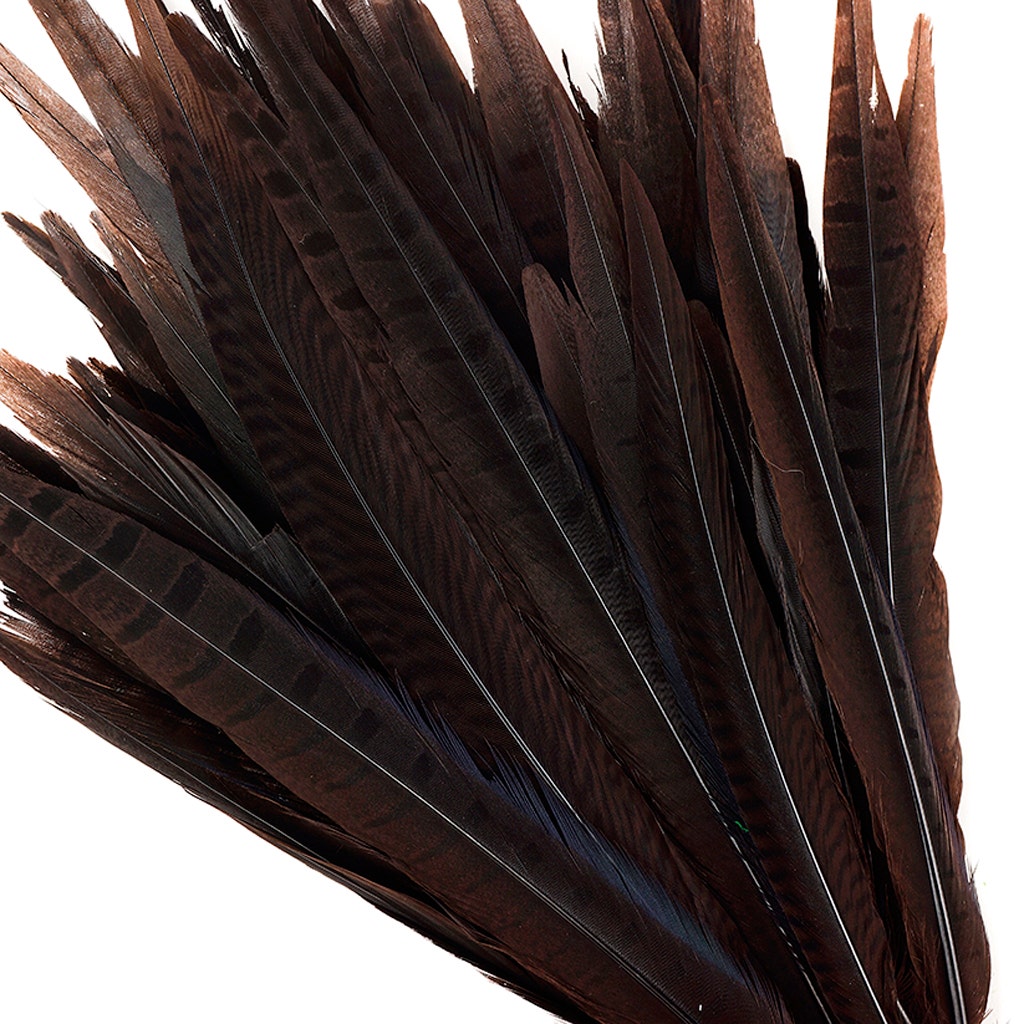 Assorted Pheasant Tails Dyed - Brown - Feathers