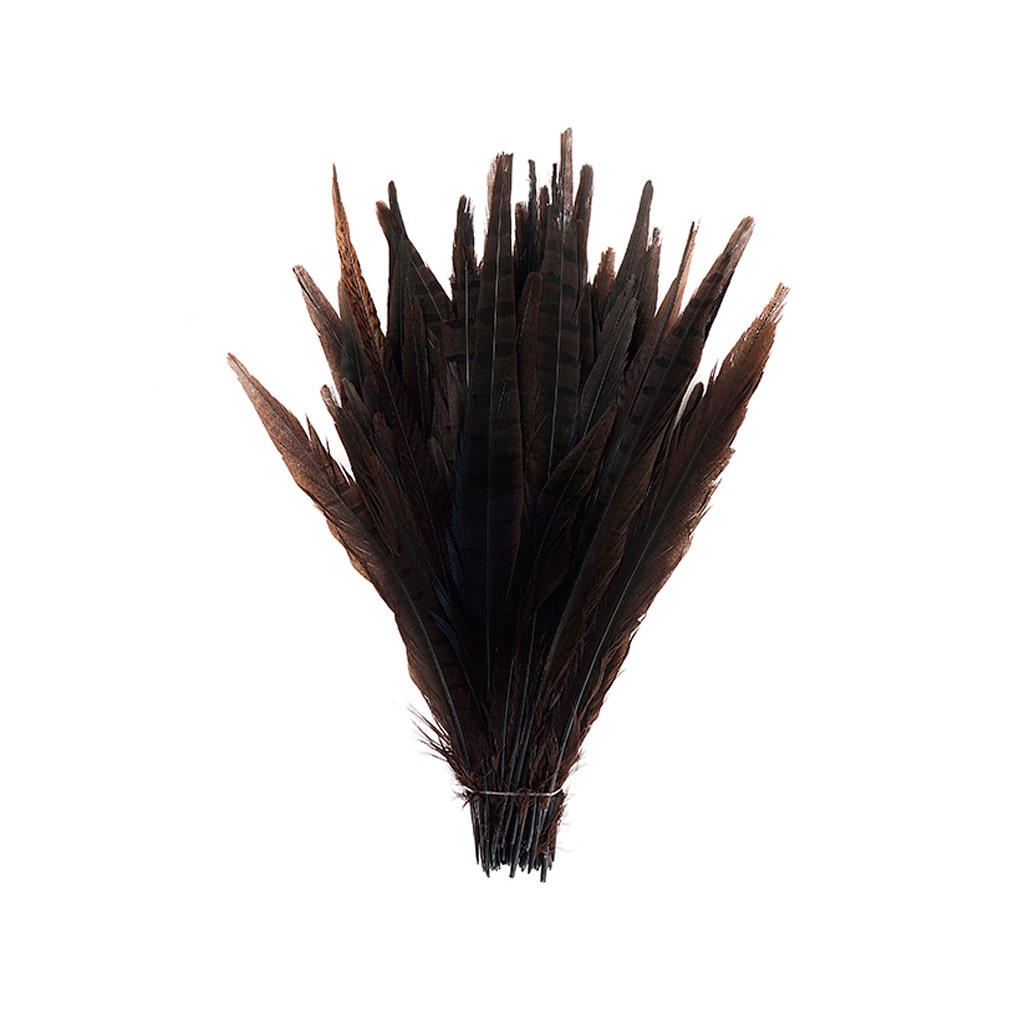 Assorted Pheasant Tails Dyed - Brown - Feathers