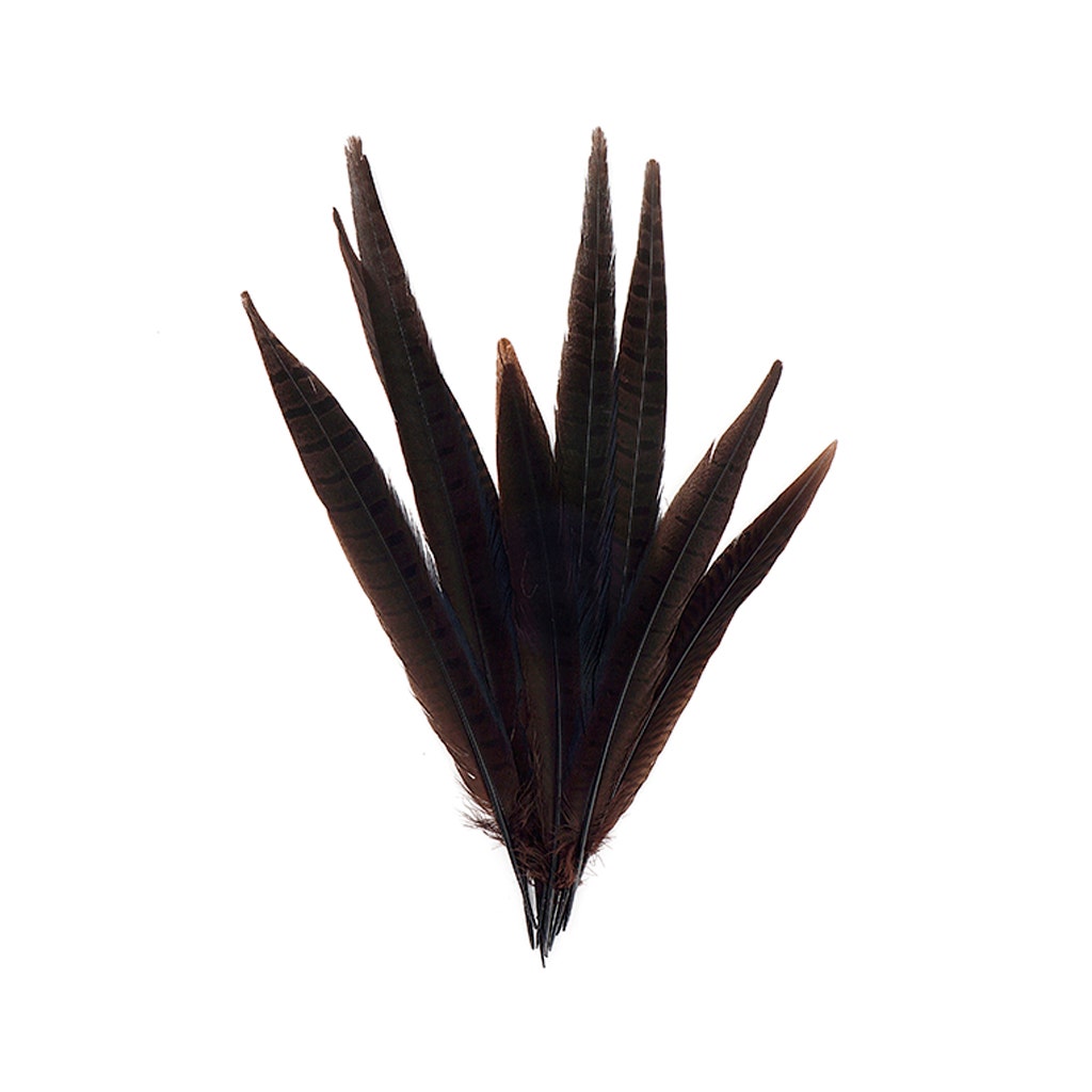 Assorted Pheasant Tails Dyed - Brown - Feathers