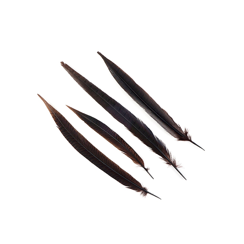 Assorted Pheasant Tails Dyed - Brown - Feathers