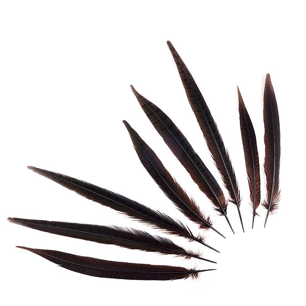 Assorted Pheasant Tails Dyed - Brown - Feathers