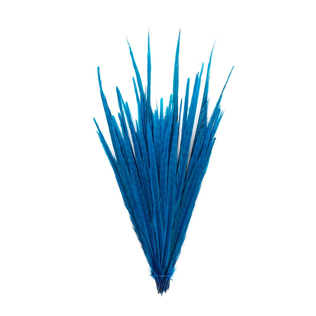 Assorted Pheasant Tails Dyed - Dark Turquoise - Feathers