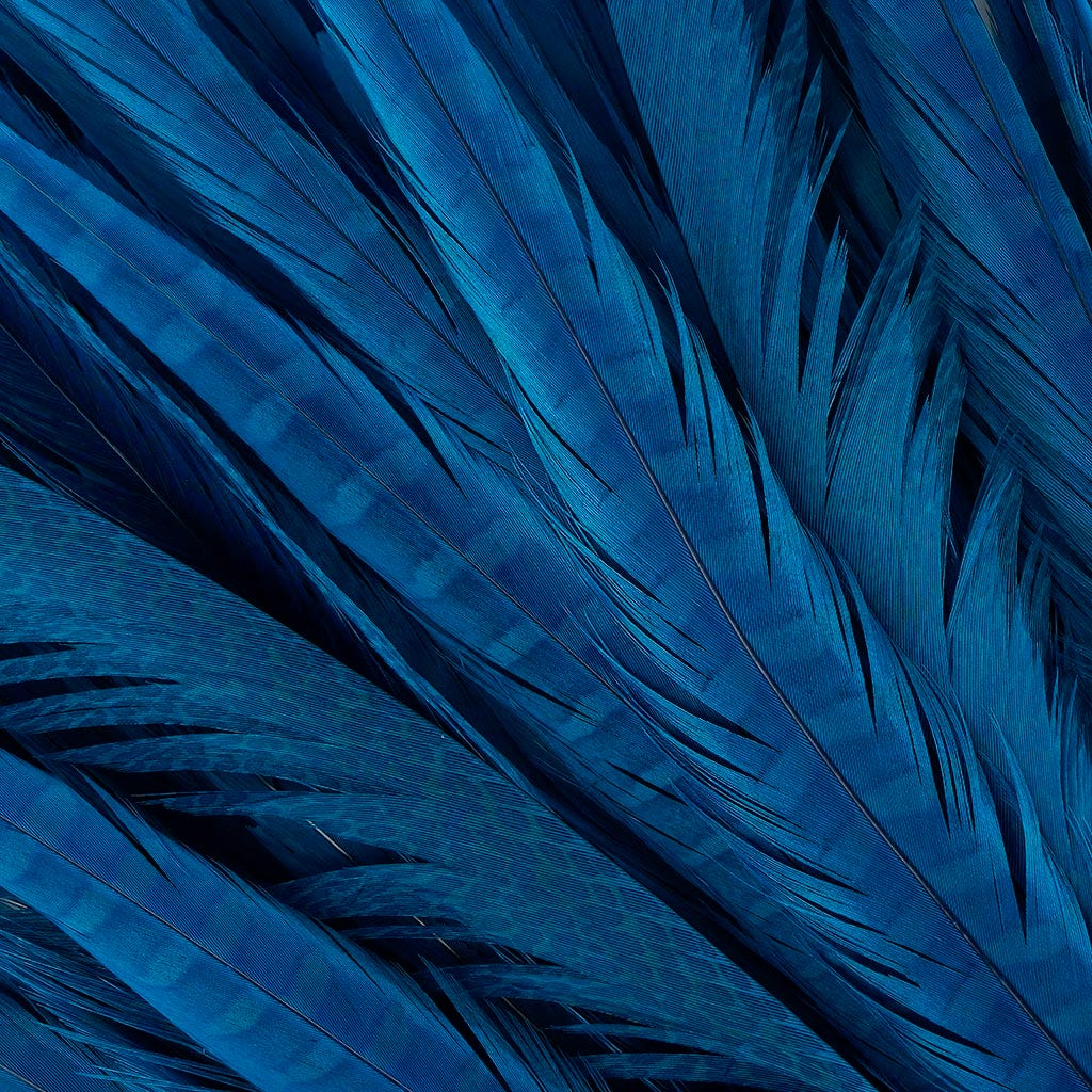 Assorted Pheasant Tails Dyed - Dark Turquoise - Feathers