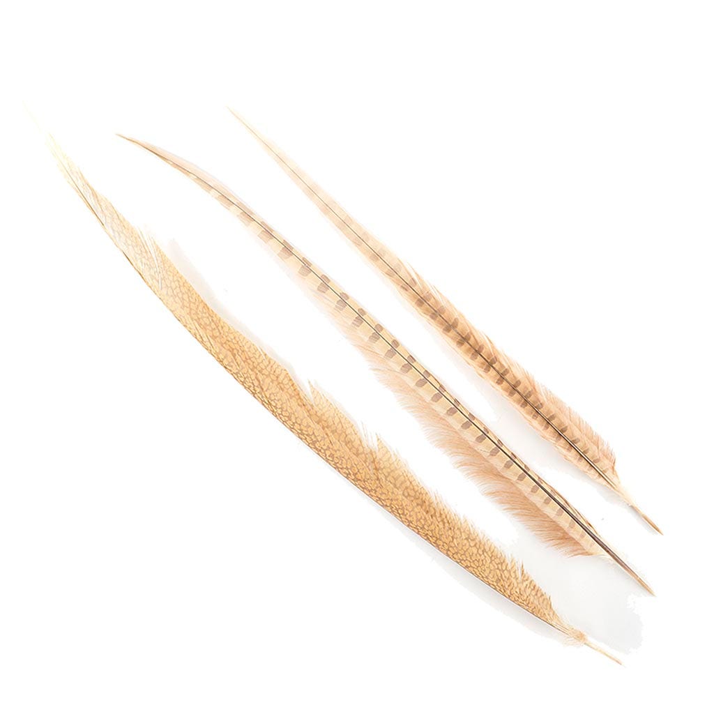 Assorted Pheasant Tails Dyed - Eggshell - Feathers