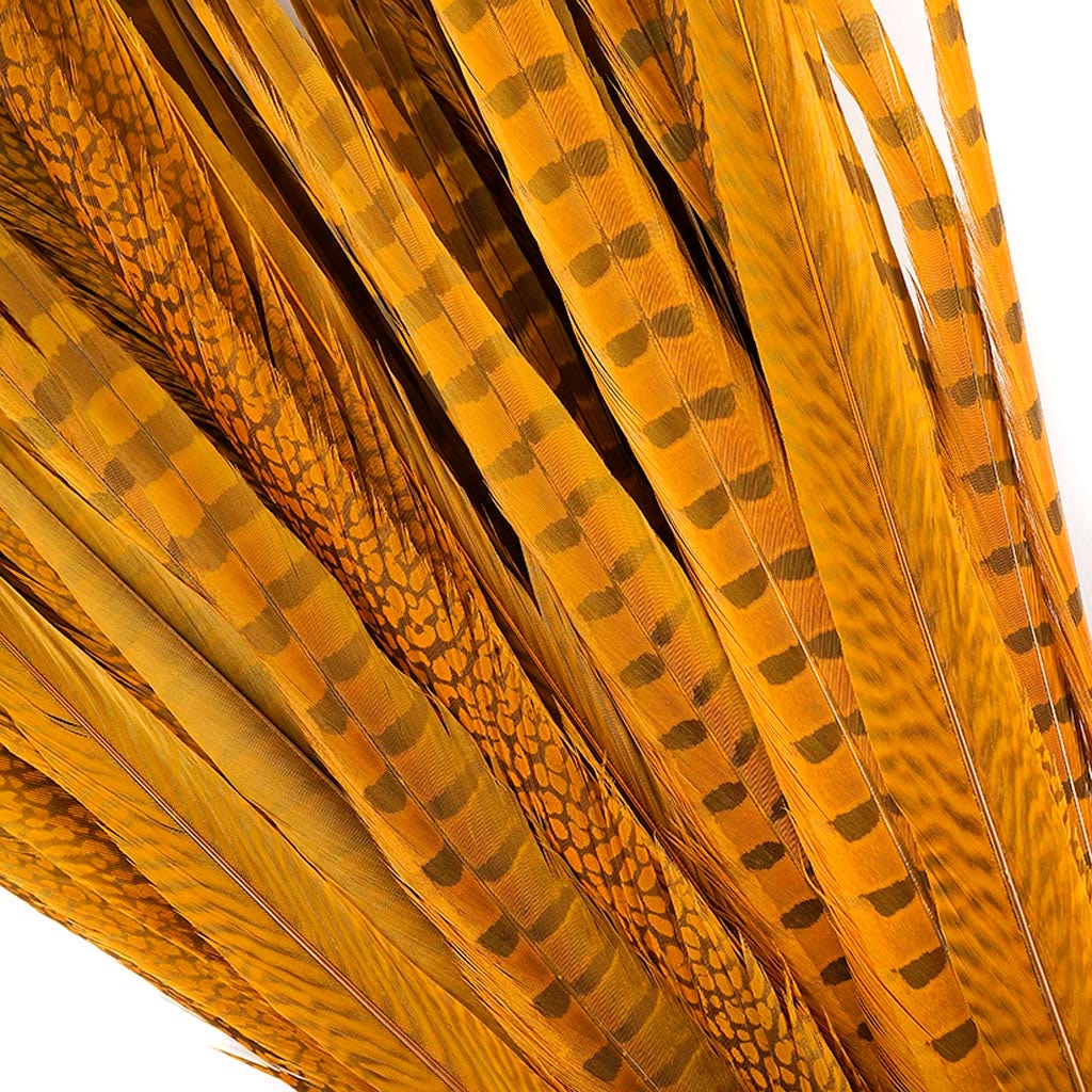 Assorted Pheasant Tails Dyed - Gold - Feathers