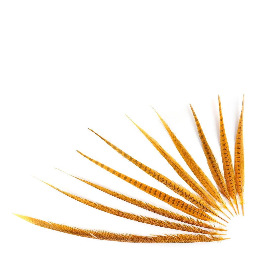 Assorted Pheasant Tails Dyed - Gold - Feathers