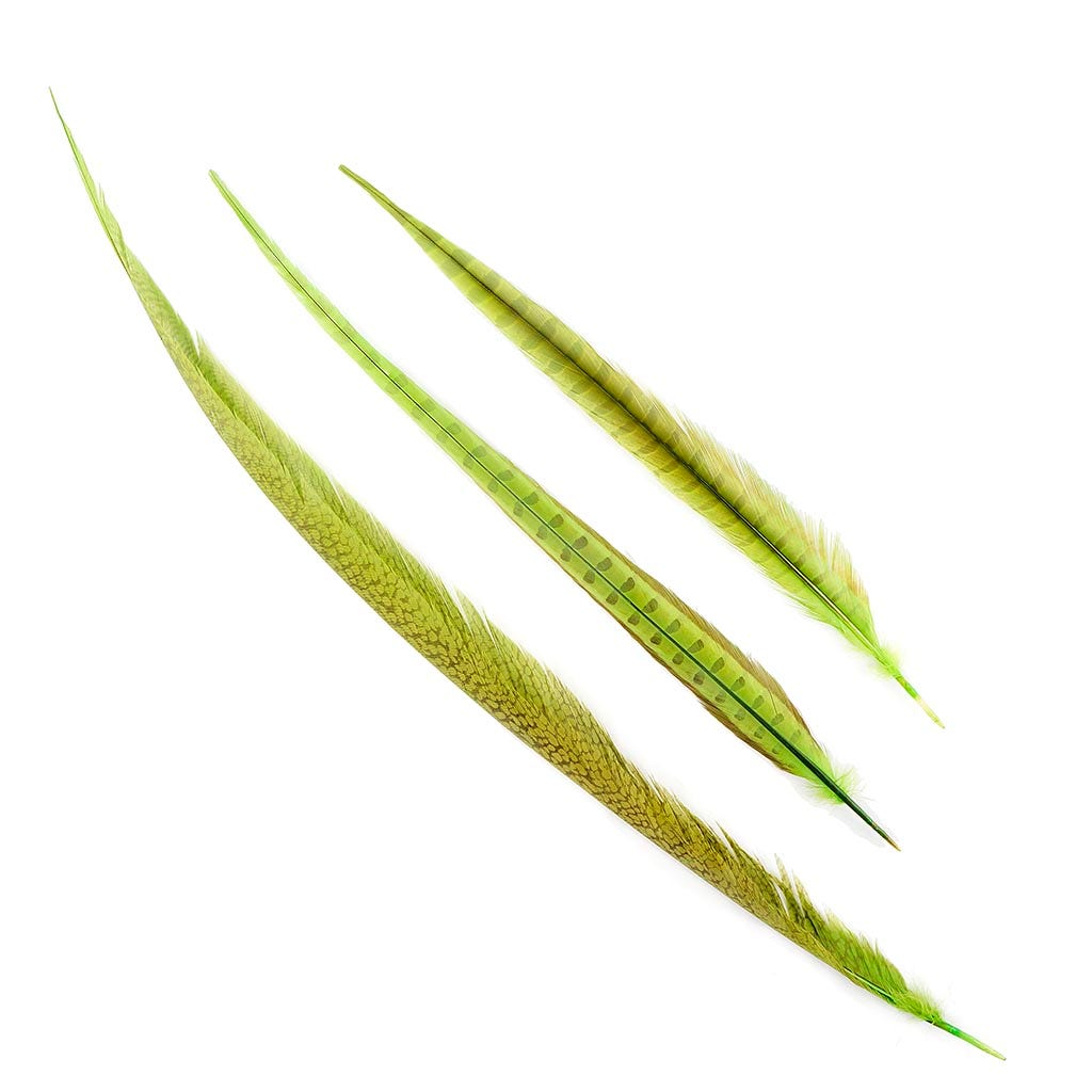 Assorted Pheasant Tails Dyed - Lime - Feathers