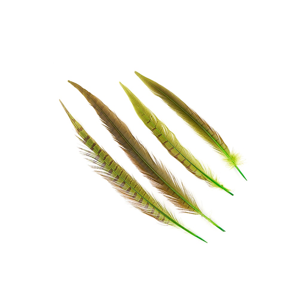 Assorted Pheasant Tails Dyed - Lime - Feathers