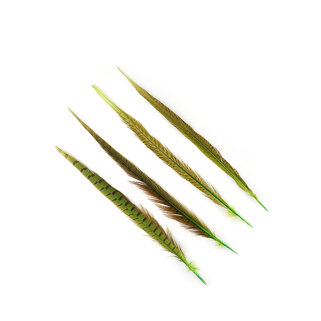 Assorted Pheasant Tails Dyed - Lime - Feathers