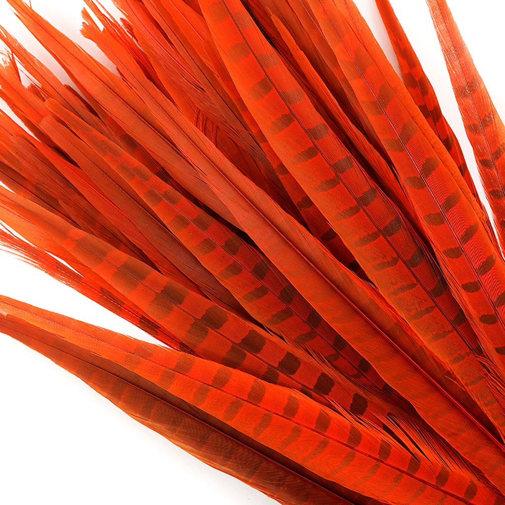 Assorted Pheasant Tails Dyed - Orange - Feathers