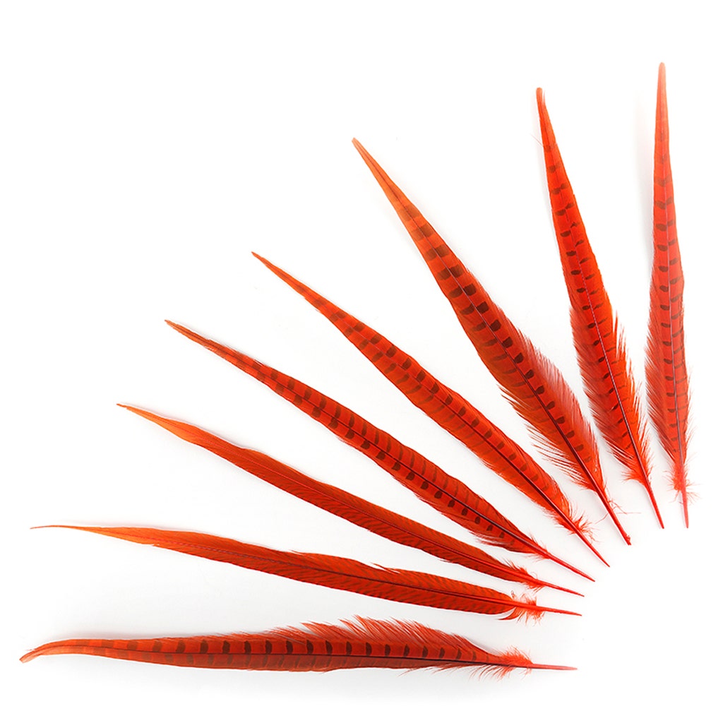 Assorted Pheasant Tails Dyed - Orange - Feathers