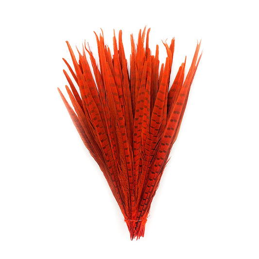 Assorted Pheasant Tails Dyed - Orange - Feathers