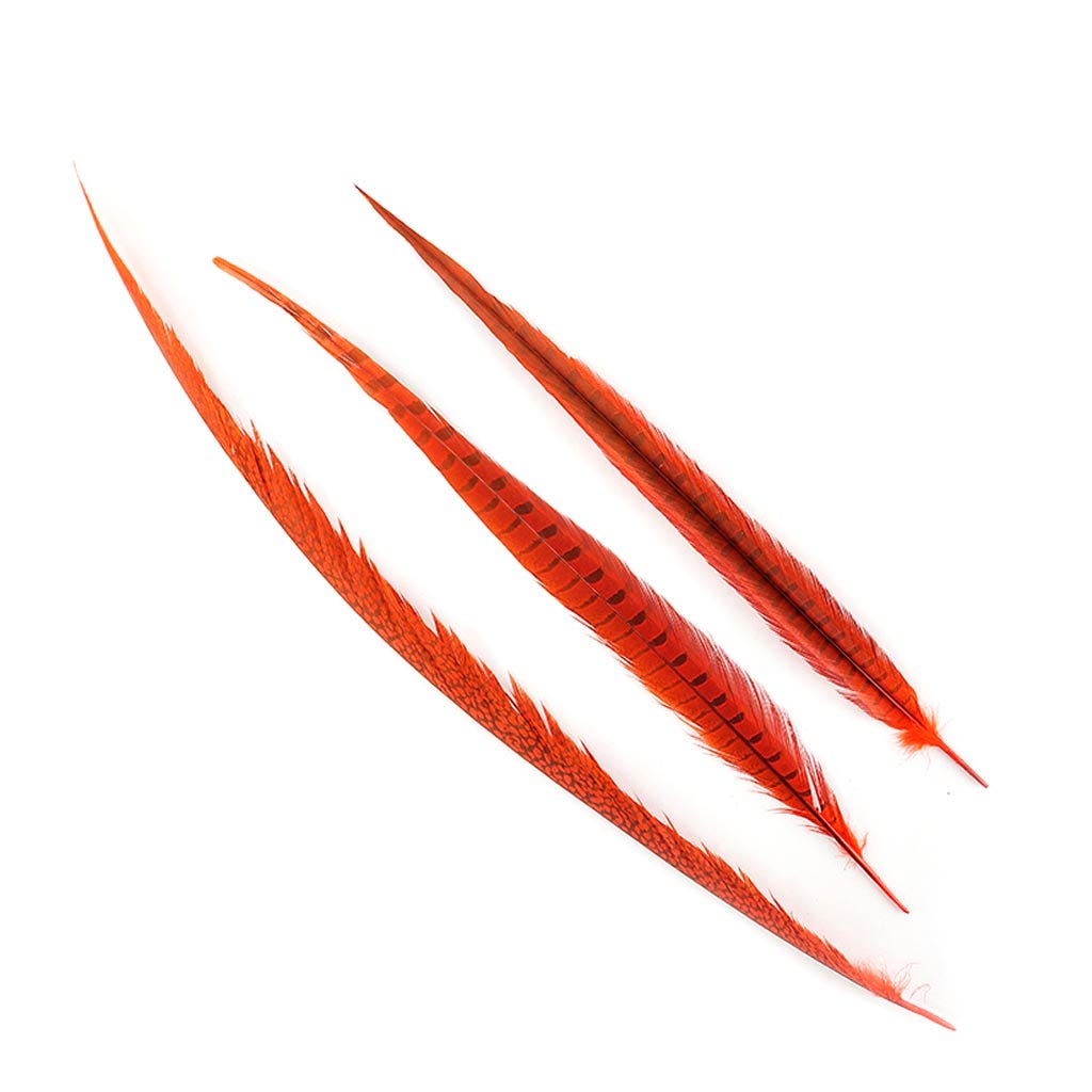 Assorted Pheasant Tails Dyed - Orange - Feathers