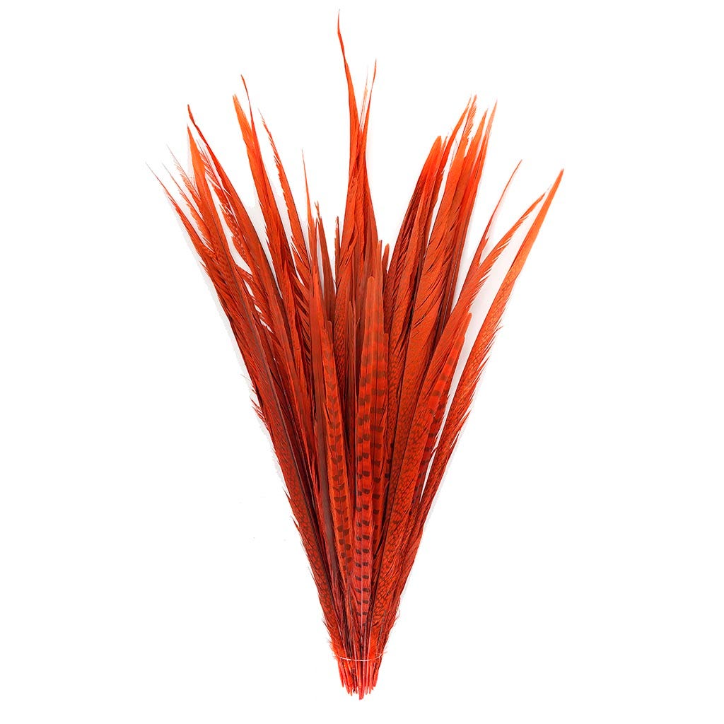 Assorted Pheasant Tails Dyed - Orange - Feathers