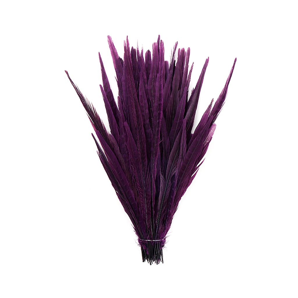 Assorted Pheasant Tails Dyed - Purple - Feathers