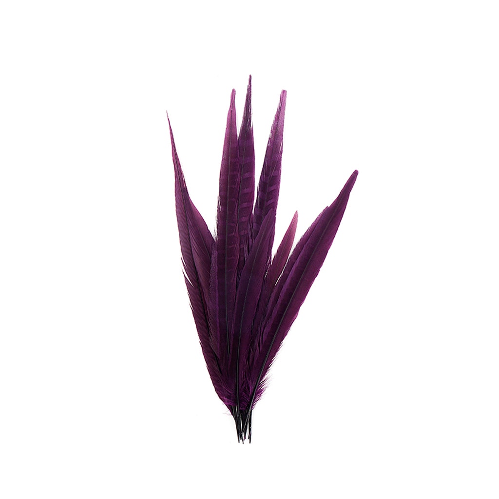 Assorted Pheasant Tails Dyed - Purple - Feathers