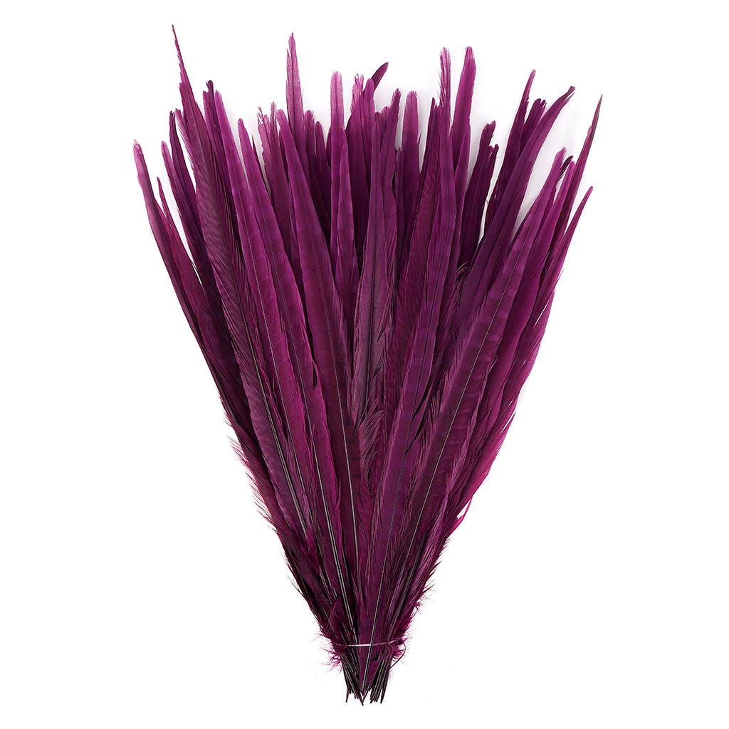 Assorted Pheasant Tails Dyed - Purple - Feathers