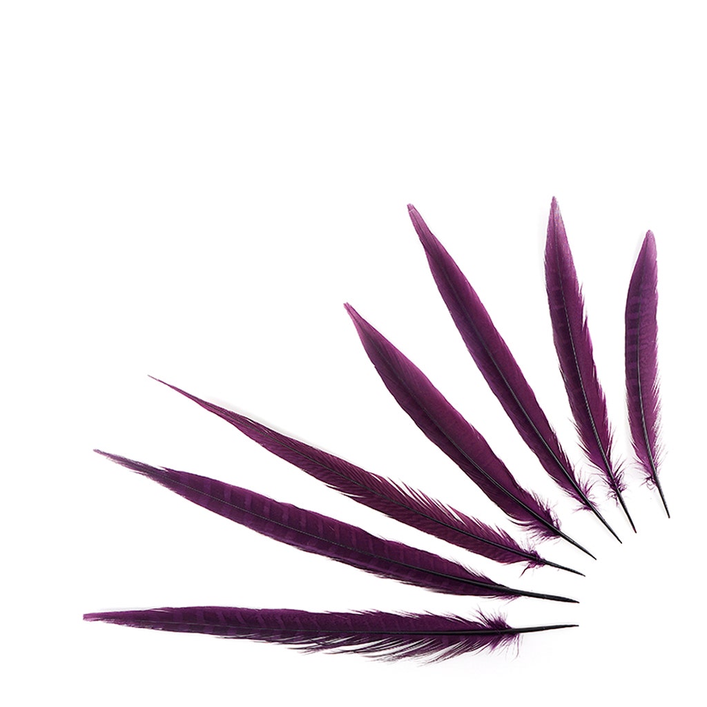 Assorted Pheasant Tails Dyed - Purple - Feathers