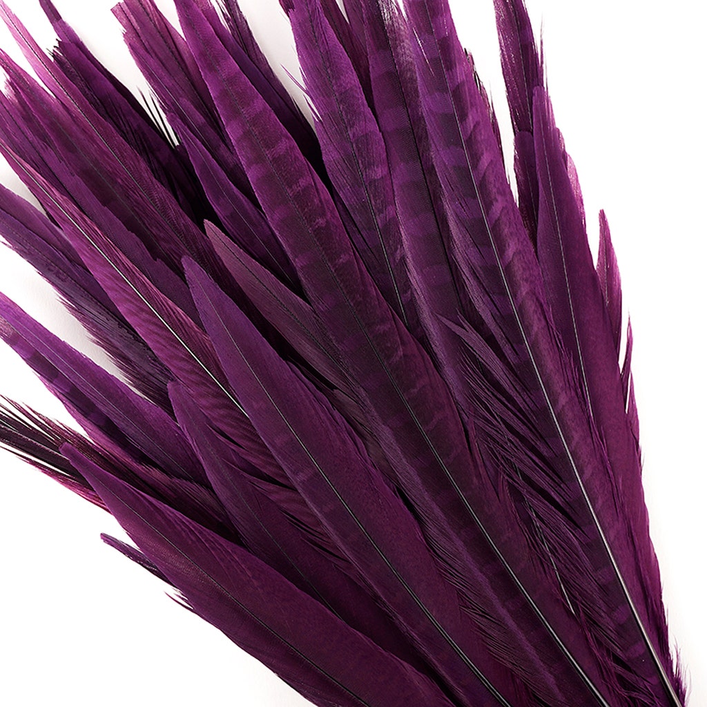 Assorted Pheasant Tails Dyed - Purple - Feathers