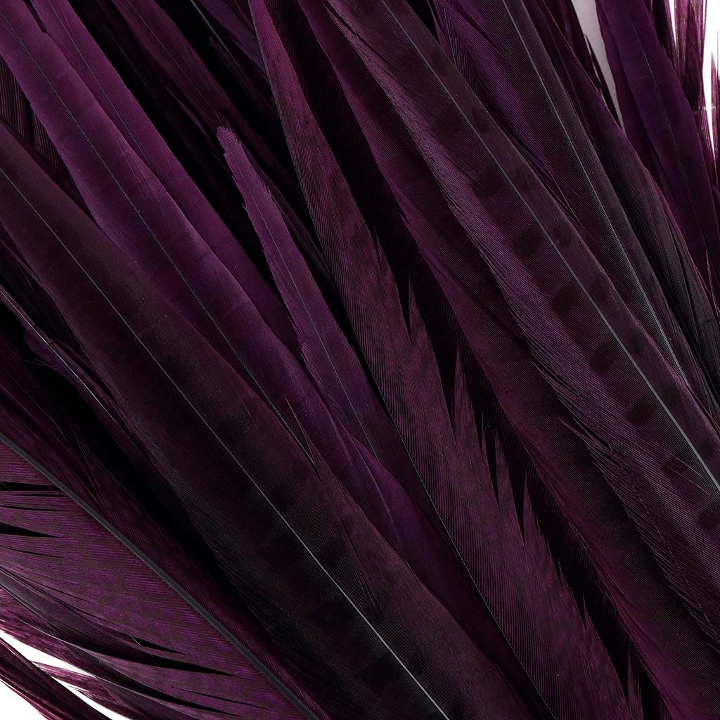 Assorted Pheasant Tails Dyed - Purple - Feathers