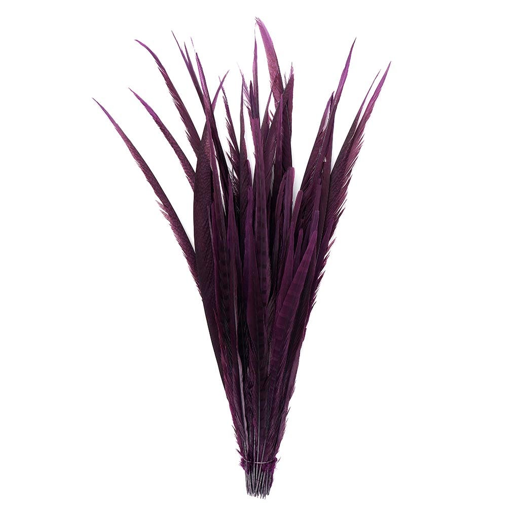 Assorted Pheasant Tails Dyed - Purple - Feathers