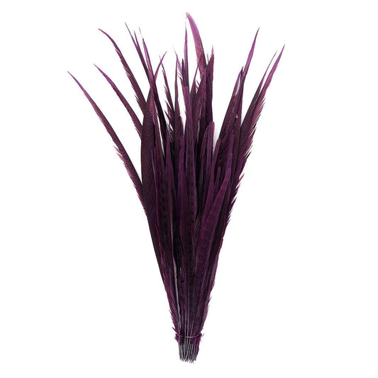 Assorted Pheasant Tails Dyed - Purple - Feathers