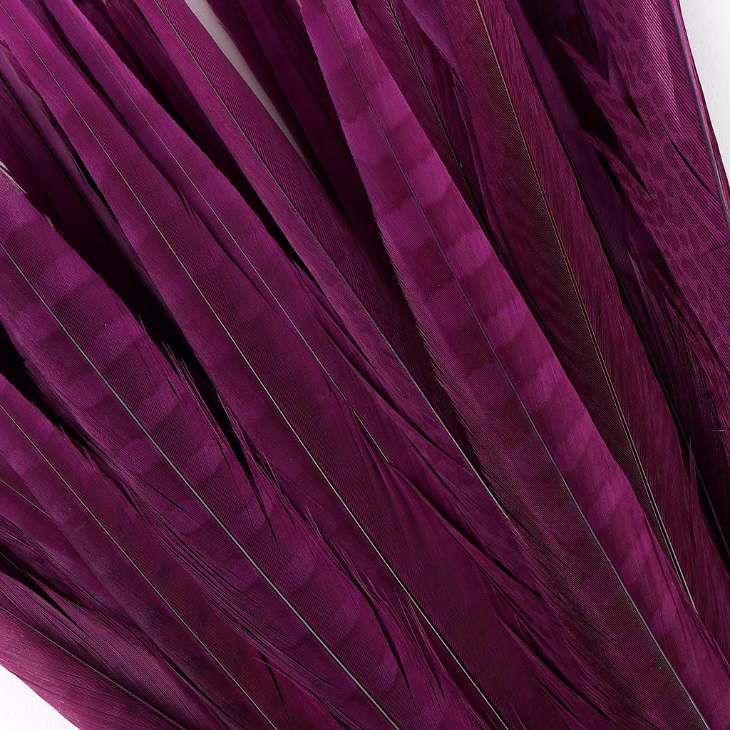 Assorted Pheasant Tails Dyed - Purple - Feathers