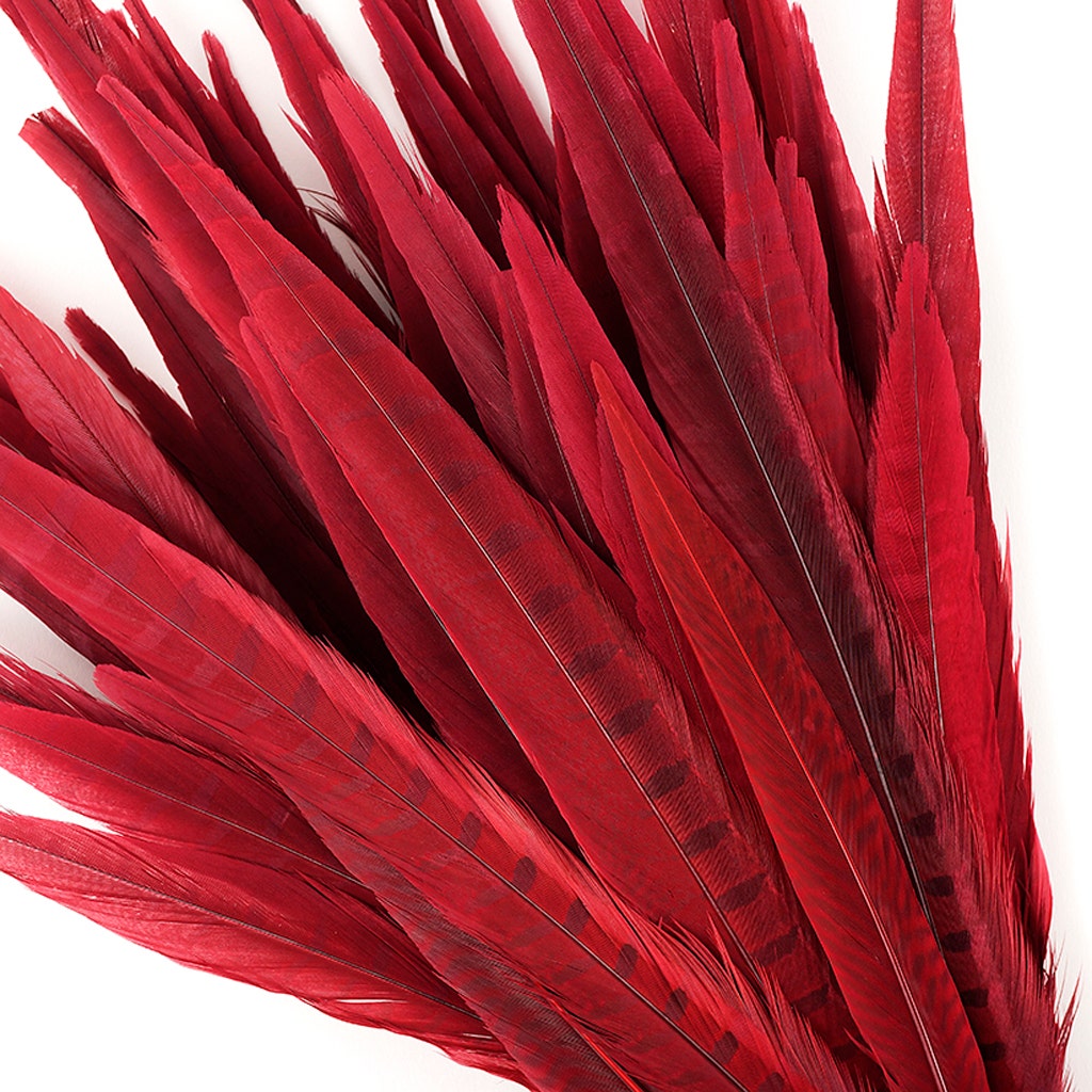 Assorted Pheasant Tails Dyed - Red - Feathers