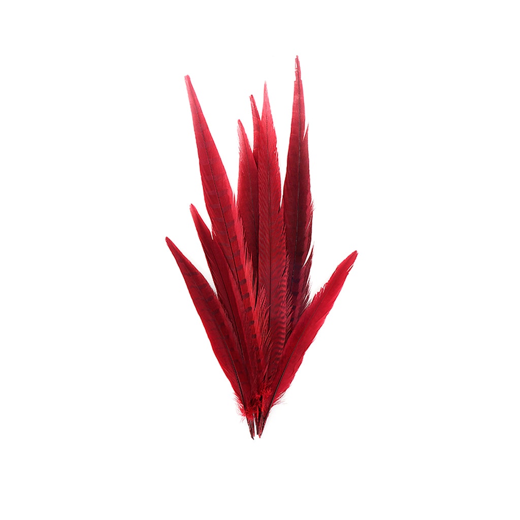 Assorted Pheasant Tails Dyed - Red - Feathers