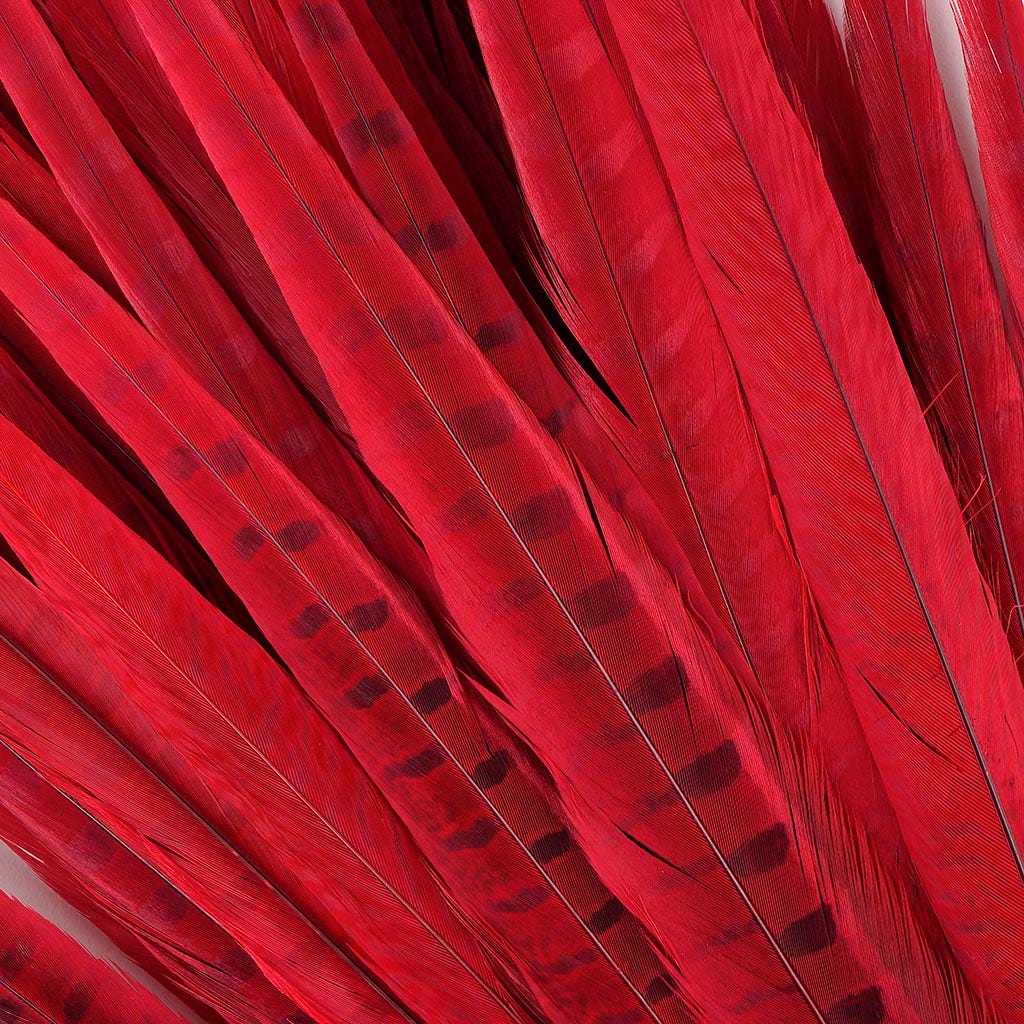 Assorted Pheasant Tails Dyed - Red - Feathers