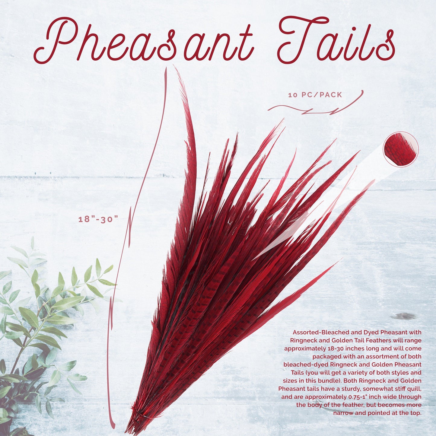 Assorted Pheasant Tails Dyed - Red - Feathers